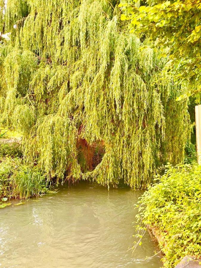 شقة بييسهايم  في Colmar Cote Rhin المظهر الخارجي الصورة